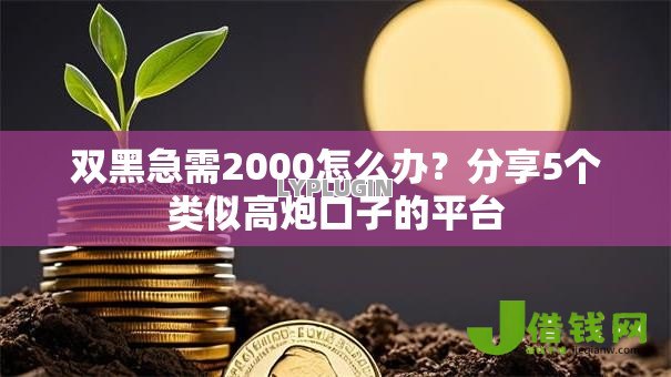 双黑急需2000怎么办?分享5个类似高炮口子的平台 双黑急需2000怎么办?分享5个类似高炮口子的平台