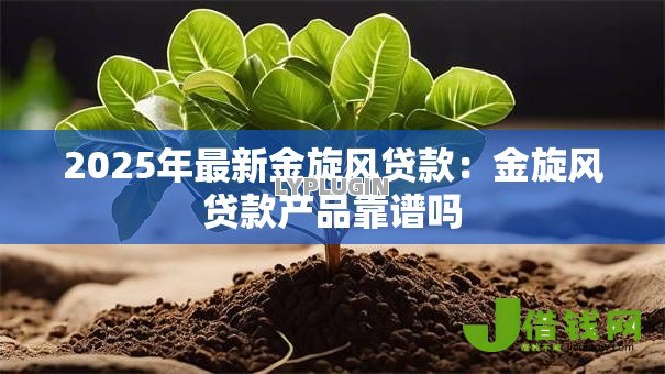 2025年最新金旋风贷款:金旋风贷款产品靠谱吗 2025年最新金旋风贷款:金旋风贷款产品靠谱吗