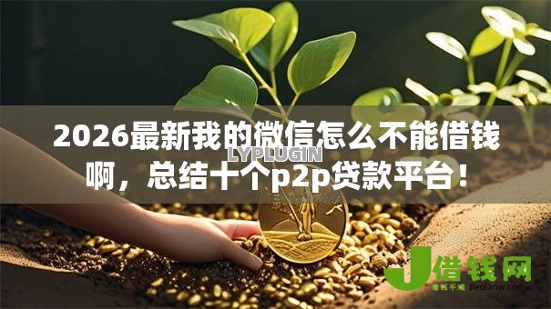 2026最新我的微信怎么不能借钱啊，总结十个p2p贷款平台！