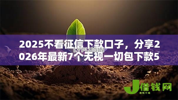 2025不看征信下款口子，分享2026年最新7个无视一切包下款5000秒下款的平台