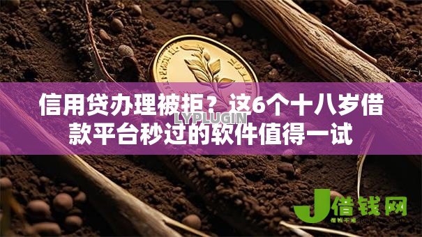 信用贷办理被拒？这6个十八岁借款平台秒过的软件值得一试