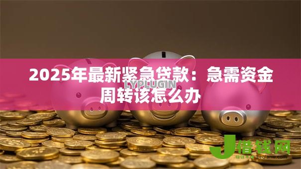 2025年最新紧急贷款:急需资金周转该怎么办 2025年最新紧急贷款:急需资金周转该怎么办
