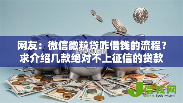 网友:微信微粒贷咋借钱的流程?求介绍几款绝对不上征信的贷款平台 网友:微信微粒贷咋借钱的流程?求介绍几款绝对不上征信的贷款平台