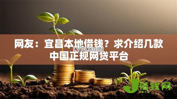 网友：宜昌本地借钱？求介绍几款中国正规网贷平台