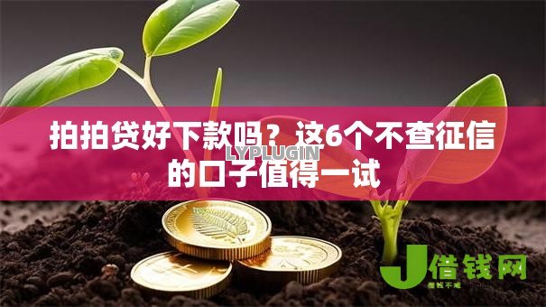 拍拍贷好下款吗?这6个不查征信的口子值得一试 拍拍贷好下款吗?这6个不查征信的口子值得一试