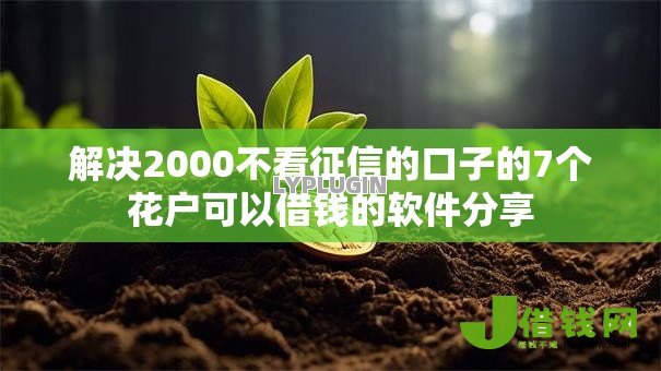 解决2000不看征信的口子的7个花户可以借钱的软件分享