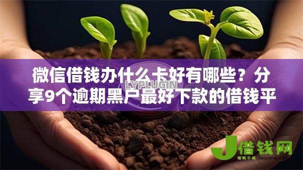 微信借钱办什么卡好有哪些?分享9个逾期黑户最好下款的借钱平台 微信借钱办什么卡好有哪些?分享9个逾期黑户最好下款的借钱平台