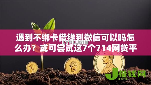 遇到不绑卡借钱到微信可以吗怎么办?或可尝试这7个714网贷平台大全 遇到不绑卡借钱到微信可以吗怎么办?或可尝试这7个714网贷平台大全