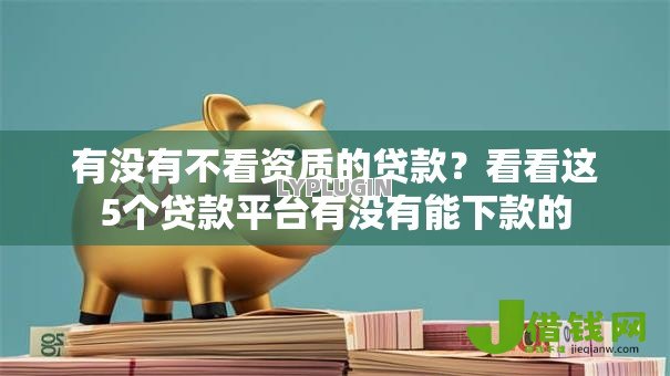 有没有不看资质的贷款？看看这5个贷款平台有没有能下款的