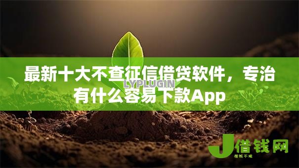 最新十大不查征信借贷软件,专治有什么容易下款App 最新十大不查征信借贷软件,专治有什么容易下款App