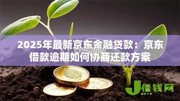 2025年最新京东金融贷款:京东借款逾期如何协商还款方案 2025年最新京东金融贷款:京东借款逾期如何协商还款方案