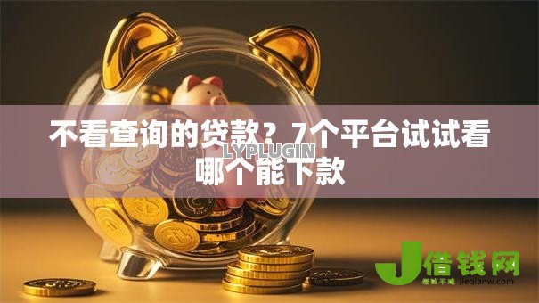 不看查询的贷款?7个平台试试看哪个能下款 不看查询的贷款?7个平台试试看哪个能下款
