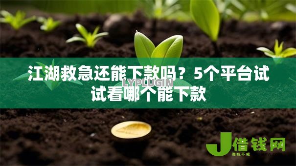 江湖救急还能下款吗?5个平台试试看哪个能下款 江湖救急还能下款吗?5个平台试试看哪个能下款