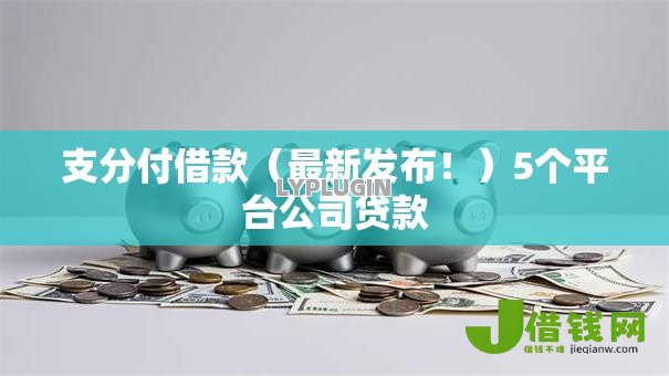 支分付借款（最新发布！）5个平台公司贷款