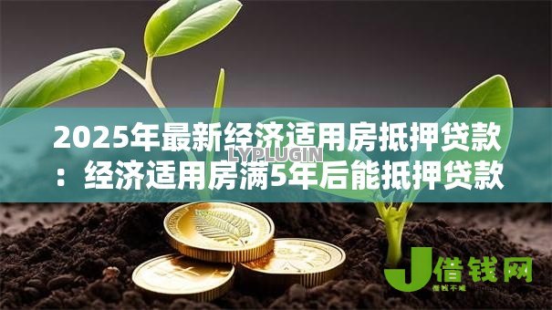 2025年最新经济适用房抵押贷款:经济适用房满5年后能抵押贷款吗 2025年最新经济适用房抵押贷款:经济适用房满5年后能抵押贷款吗
