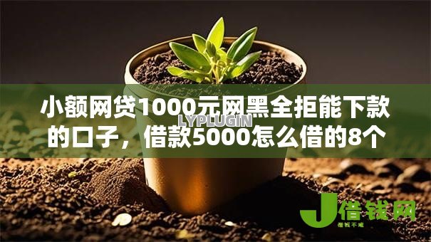 小额网贷1000元网黑全拒能下款的口子,借款5000怎么借的8个平台介绍 小额网贷1000元网黑全拒能下款的口子,借款5000怎么借的8个平台介绍
