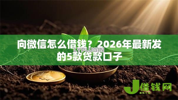 向微信怎么借钱？2026年最新发的5款贷款口子