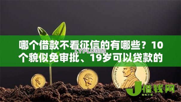 哪个借款不看征信的有哪些?10个貌似免审批、19岁可以贷款的平台合集 哪个借款不看征信的有哪些?10个貌似免审批、19岁可以贷款的平台合集