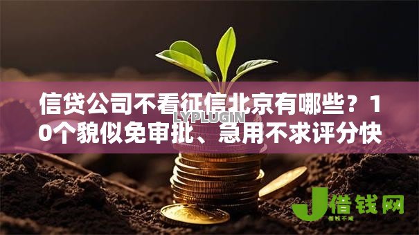 信贷公司不看征信北京有哪些？10个貌似免审批、急用不求评分快借无忧的口子合集