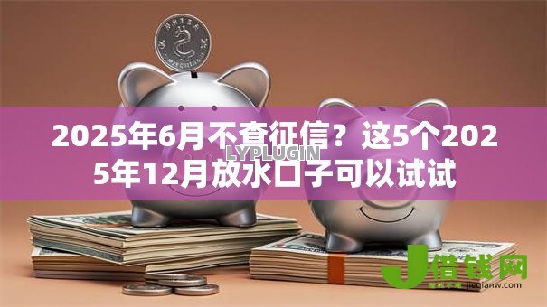 2025年6月不查征信?这5个2025年12月放水口子可以试试 2025年6月不查征信?这5个2025年12月放水口子可以试试