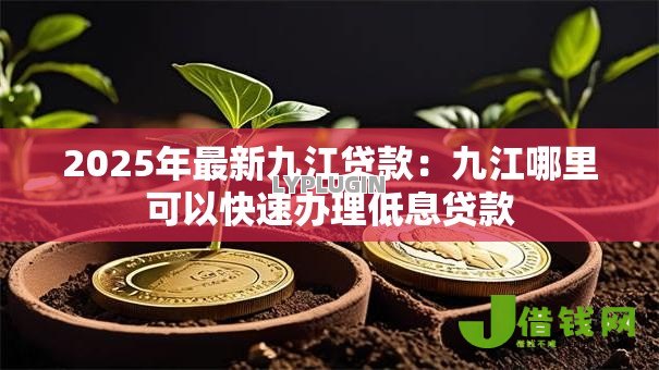 2025年最新九江贷款:九江哪里可以快速办理低息贷款 2025年最新九江贷款:九江哪里可以快速办理低息贷款