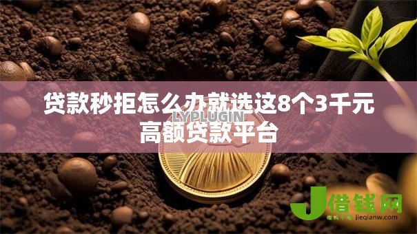 贷款秒拒怎么办就选这8个3千元高额贷款平台 贷款秒拒怎么办就选这8个3千元高额贷款平台