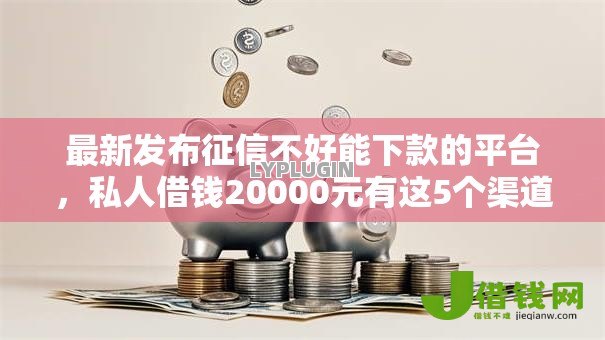 最新发布征信不好能下款的平台，私人借钱20000元有这5个渠道
