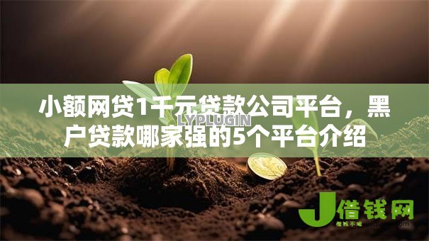 小额网贷1千元贷款公司平台,黑户贷款哪家强的5个平台介绍 小额网贷1千元贷款公司平台,黑户贷款哪家强的5个平台介绍