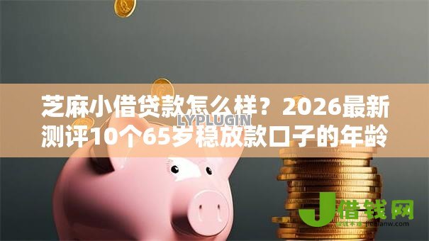 芝麻小借贷款怎么样?2026最新测评10个65岁稳放款口子的年龄要求 芝麻小借贷款怎么样?2026最新测评10个65岁稳放款口子的年龄要求