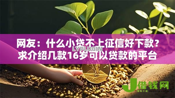 网友：什么小贷不上征信好下款？求介绍几款16岁可以贷款的平台