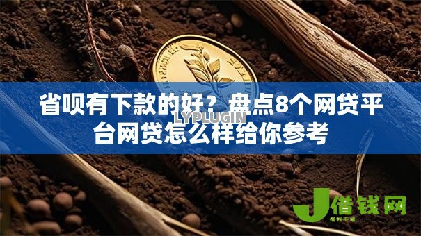 省呗有下款的好?盘点8个网贷平台网贷怎么样给你参考 省呗有下款的好?盘点8个网贷平台网贷怎么样给你参考
