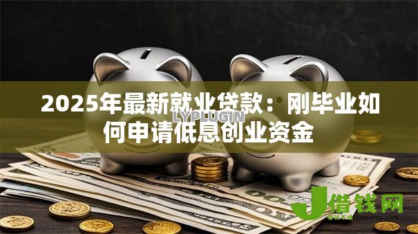 2025年最新就业贷款：刚毕业如何申请低息创业资金