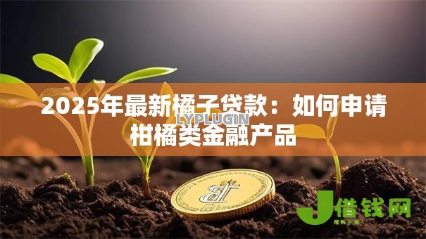 2025年最新橘子贷款：如何申请柑橘类金融产品