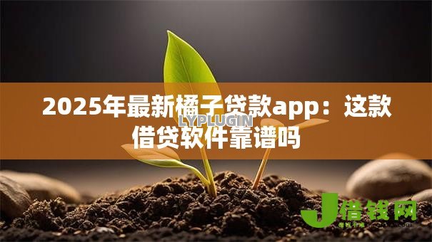 2025年最新橘子贷款app：这款借贷软件靠谱吗