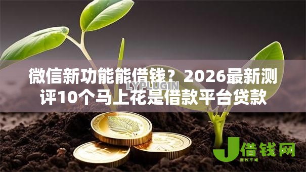微信新功能能借钱?2026最新测评10个马上花是借款平台贷款 微信新功能能借钱?2026最新测评10个马上花是借款平台贷款