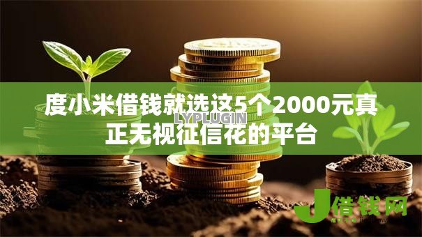 度小米借钱就选这5个2000元真正无视征信花的平台 度小米借钱就选这5个2000元真正无视征信花的平台