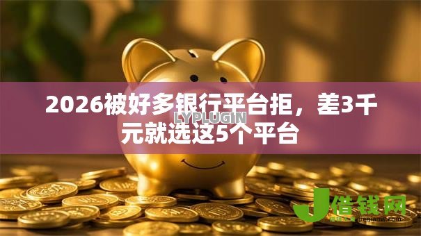 2026被好多银行平台拒,差3千元就选这5个平台 2026被好多银行平台拒,差3千元就选这5个平台