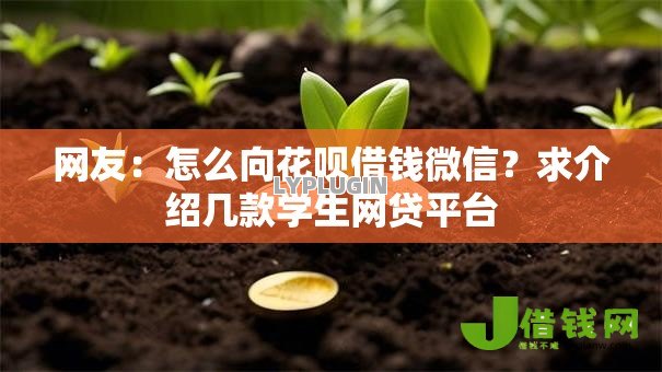 网友:怎么向花呗借钱微信?求介绍几款学生网贷平台 网友:怎么向花呗借钱微信?求介绍几款学生网贷平台