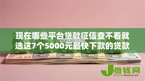 现在哪些平台贷款征信查不看就选这7个5000元最快下款的贷款平台