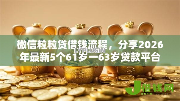 微信粒粒贷借钱流程,分享2026年最新5个61岁一63岁贷款平台 微信粒粒贷借钱流程,分享2026年最新5个61岁一63岁贷款平台