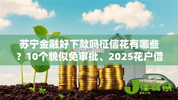 苏宁金融好下款吗征信花有哪些？10个貌似免审批、2025花户借钱的平台100%能借到合集