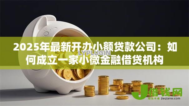 2025年最新开办小额贷款公司：如何成立一家小微金融借贷机构