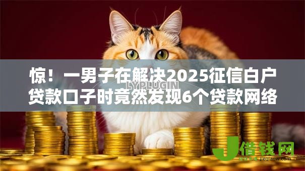 惊!一男子在解决2025征信白户贷款口子时竟然发现6个贷款网络平台,事后分享了出来 惊!一男子在解决2025征信白户贷款口子时竟然发现6个贷款网络平台,事后分享了出来