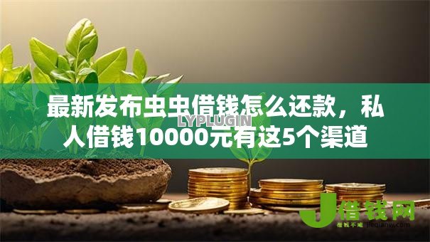最新发布虫虫借钱怎么还款，私人借钱10000元有这5个渠道