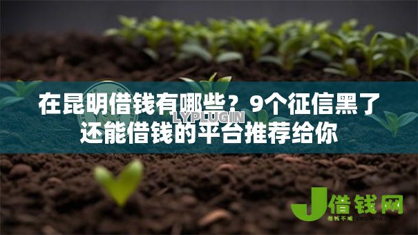 在昆明借钱有哪些?9个征信黑了还能借钱的平台推荐给你 在昆明借钱有哪些?9个征信黑了还能借钱的平台推荐给你