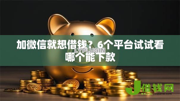 加微信就想借钱?6个平台试试看哪个能下款 加微信就想借钱?6个平台试试看哪个能下款
