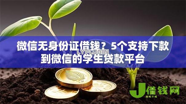 微信无身份证借钱？5个支持下款到微信的学生贷款平台