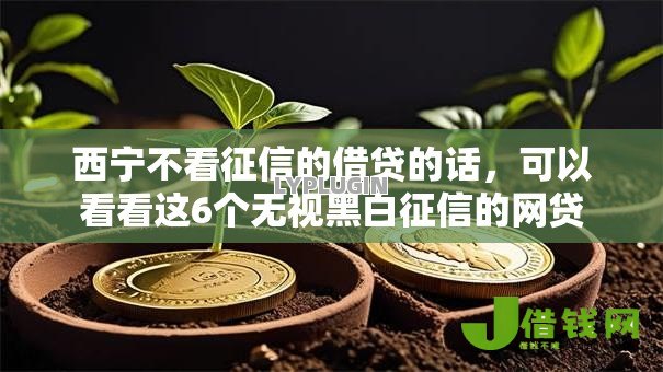 西宁不看征信的借贷的话,可以看看这6个无视黑白征信的网贷 西宁不看征信的借贷的话,可以看看这6个无视黑白征信的网贷