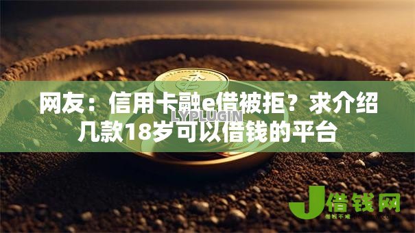 网友:信用卡融e借被拒?求介绍几款18岁可以借钱的平台 网友:信用卡融e借被拒?求介绍几款18岁可以借钱的平台