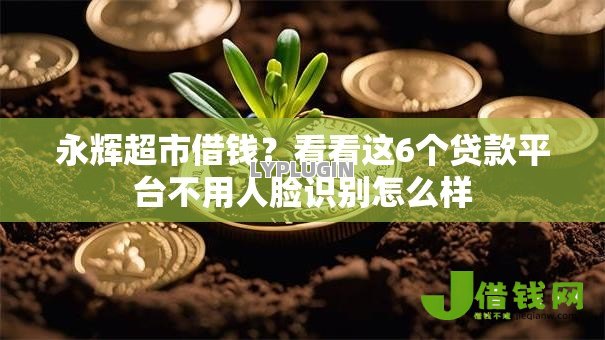 永辉超市借钱？看看这6个贷款平台不用人脸识别怎么样